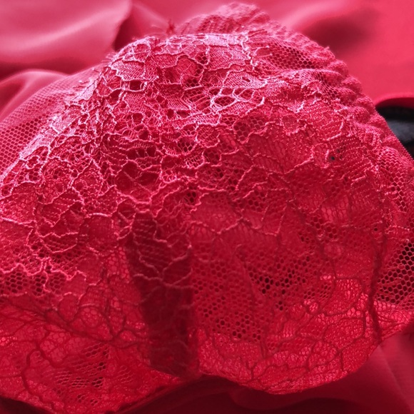 Victoria's Secret Chantilly Babydoll Lace mesh top - Picture 4 of 7